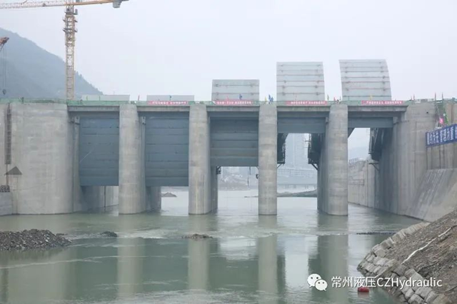 1654389628193496.png 411b7273e98f4ec3ab51860aeb83b02.png