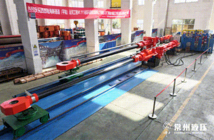 助力世纪运河建设 | 西部陆海新通道(平陆)运河工程马道枢纽左线船闸人字门及工作阀门液压启闭机顺利验收